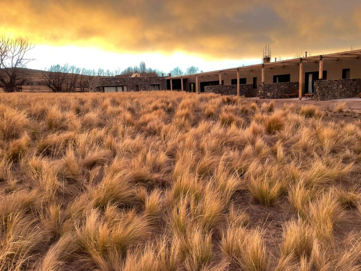 Rancho Adobe Eco Hotel Tupungato Eksteriør billede
