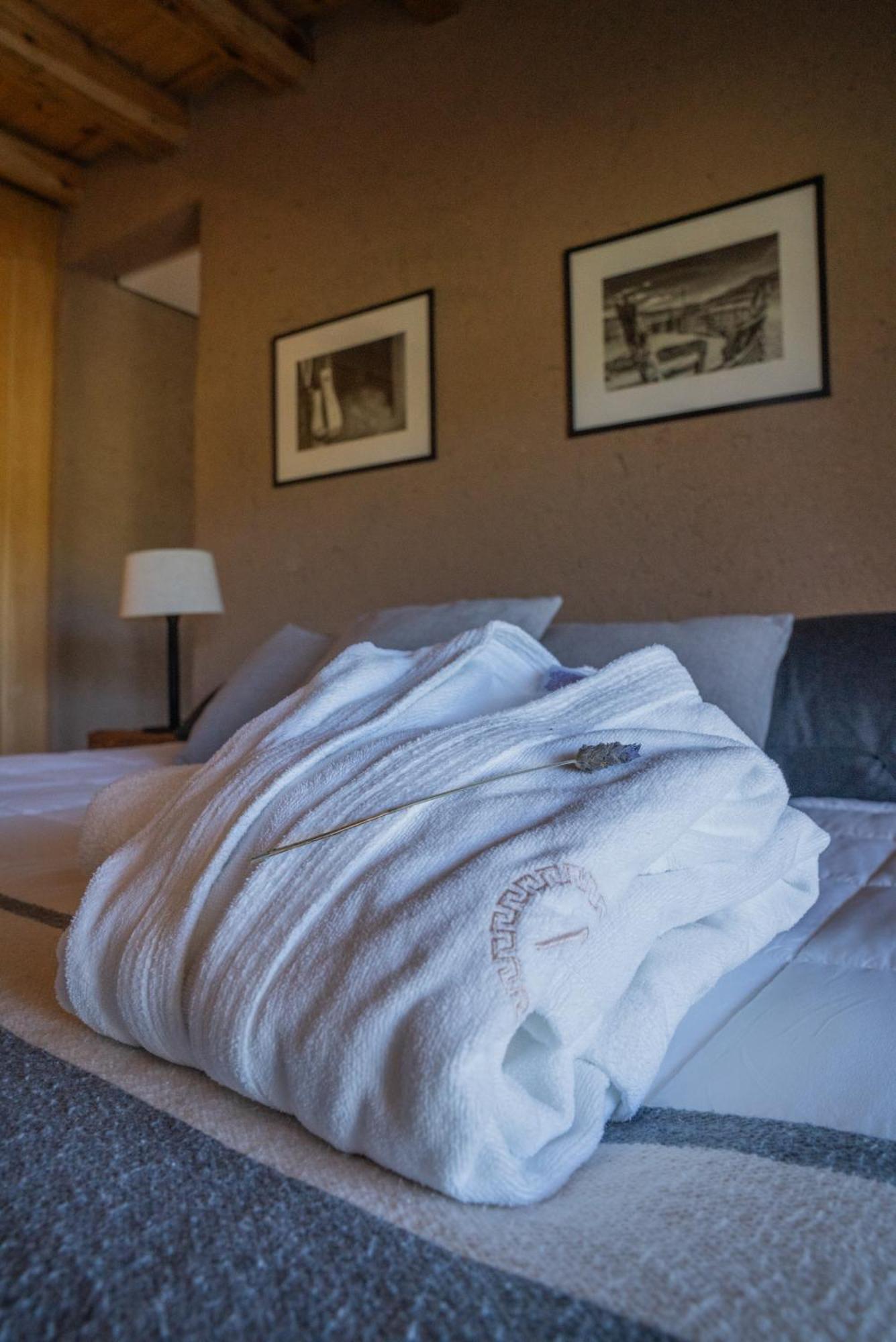 Rancho Adobe Eco Hotel Tupungato Eksteriør billede