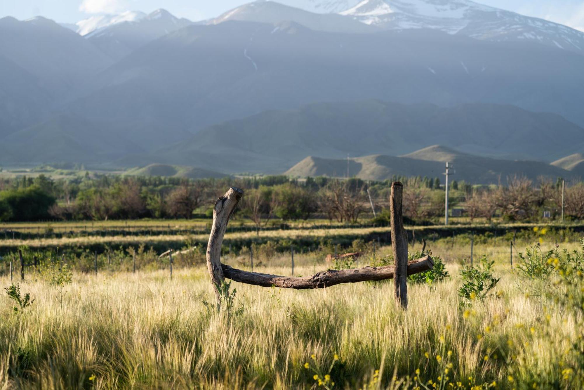 Rancho Adobe Eco Hotel Tupungato Eksteriør billede